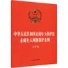 Ley sobre la Protección de Menores de la República Popular China, Reglamento sobre la Protección de Menores en Internet, Edición en Letra Grande