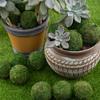 Exclusivo transfronteiriço bola de musgo verde bola de musgo jardinagem vaso de flores de musgo vaso de bonsai bola de grama bola de flor seca flor seca ornamento pendurado