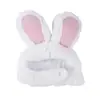 Gorro con Orejas de Conejo Lindo de Venta Caliente Transfronterizo para Mascotas, Accesorios para Fotos de Gatos, Disfraz para Perros Pequeños y Gatos