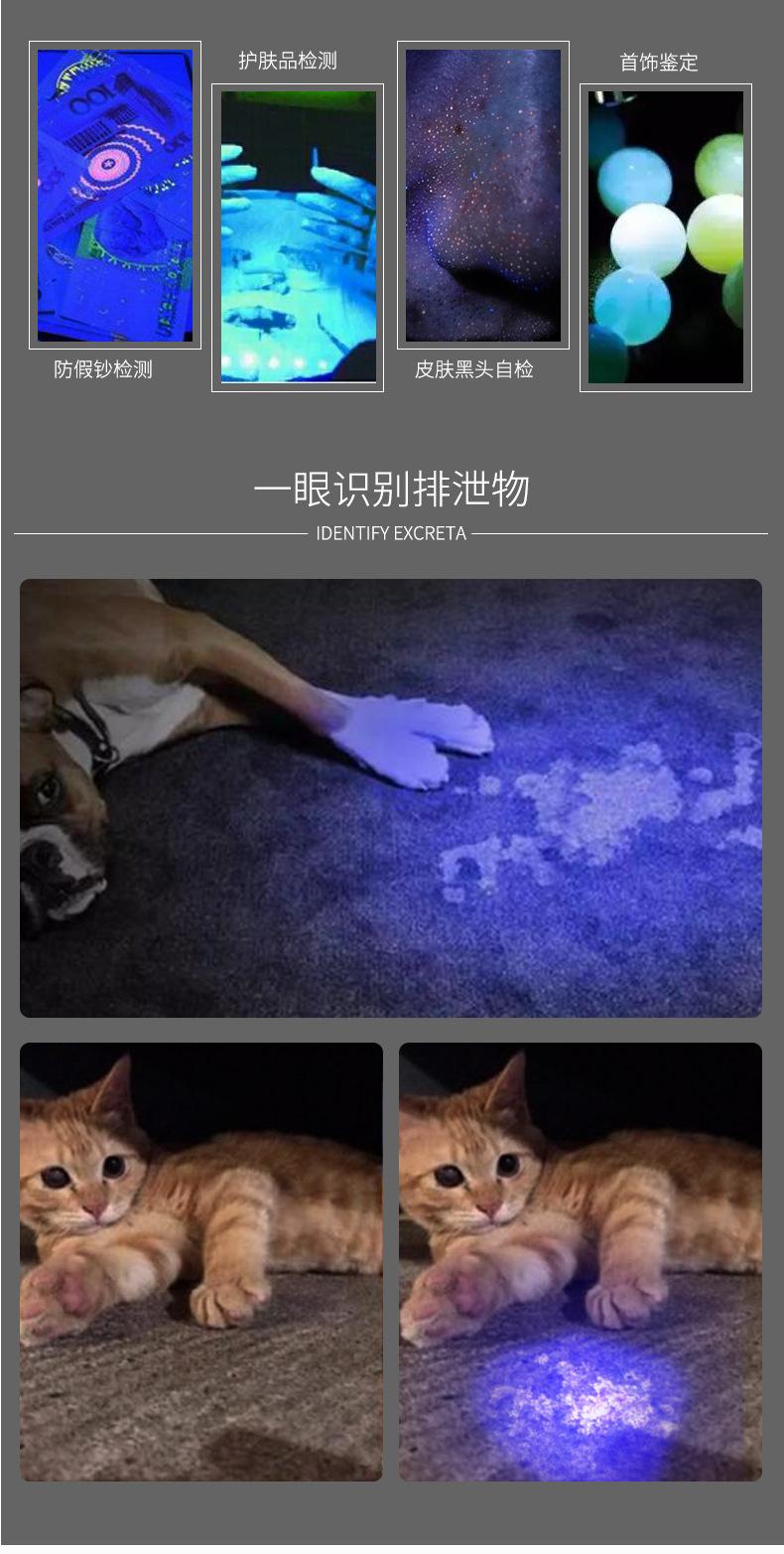 猫藓灯