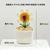 Conjunto de plantas em vaso de vidro Zibo transfronteiriço, flor de vidro presente de Dia das Mães, ornamento decorativo, decoração de mesa
