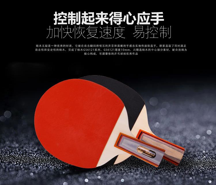 乒乓球拍GS6121_07