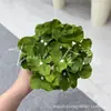 Flores Artificiales, Ramo de Hortensias de 5 Cabezas, Verano Interminable, 27 Piezas, Materiales Florales para Decoración de Bodas y Hogar, Flores de Cinco Cabezas