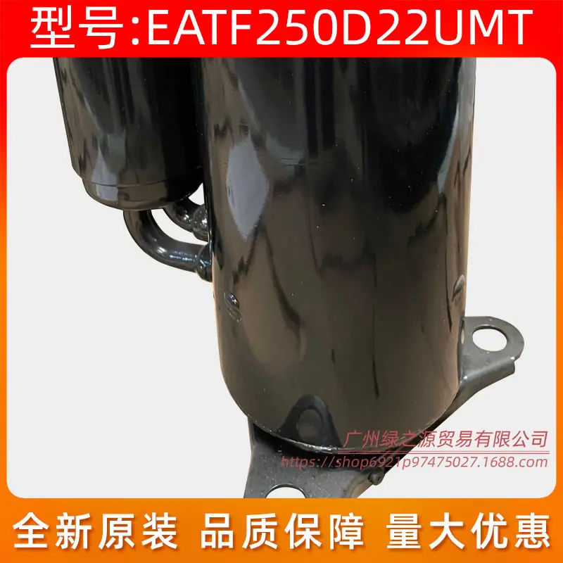 土豆花1816_11103020003979一 SG C.j