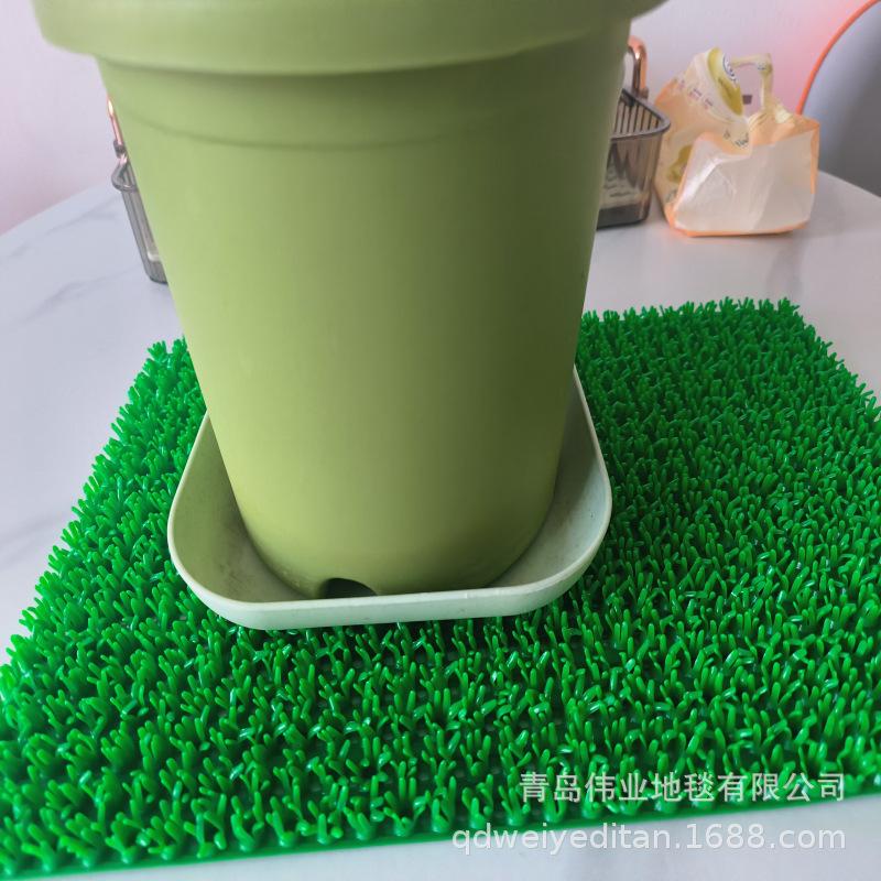 小绿草