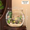 Aquário de Mesa Transparente Grande, Tanque Espessado para Tartaruga, Aquário para Peixe Dourado, Aquário de Plástico Hidropônico Anti-Queda para Sala de Estar, Tanque Ecológico para Paisagismo