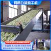Secador de col Col col Verdura deshidratada Limpieza Secado de verduras procesado Equipo Secadora de verduras