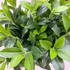Hojas de Limón Simuladas, Hojas de Naranja, Hojas de Laurel de Osmanthus, Hojas de Árbol de Té, Hojas Táctiles, Árboles para Paisajismo de Plantas, Decoración del Hogar