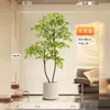 Nantian Bambú Estilo Lujo Ligero Árbol Artificial Decoración Interior Sala de Estar Adornos de Pie Paisajismo Planta Verde Biónica Flor de Seda en Maceta Otros