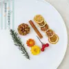 Virutas de Madera Cáscara de Nuez Material Planta Taibao Especimen Piña de Pino Paquete de Materiales de Flores Secas DIY Chen Mai Hecho a Mano Bellota Seca Marco de Fotos