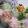 Suculentas simuladas de esmalte de color transfronterizo en maceta, pequeños adornos, escritorio de oficina, plantas verdes, flores, artesanías de vidrio, regalos