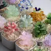 Zibo Esmalte de Color Simulación Plantas Verdes Carnosas Flores Artesanías de Vidrio Regalo Planta en Maceta Adornos Pequeños Escritorio de Oficina
