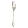 Garfo de Fruta com Cabo Pontiagudo de Aço Inoxidável Garfo de Chá Garfo de Salada Doméstico Garfo Espessado para Restaurante Chá da Tarde Garfo de Sobremesa Bolo Garfo de Bolo Lunar