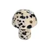 Piedra natural transfronteriza de 20 mm, forma de hongo semiprecioso, para maceta, pecera, decoración, adornos de ágata, artesanía.