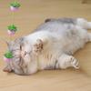 Nuevos Juguetes de Gato Largo Fructífero de Hi Guofeng Juguetes para Gatos Venta al por Mayor Juguetes para Mascotas Transfronterizos
