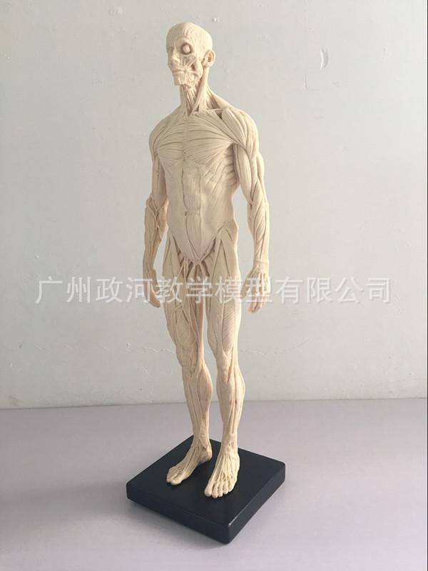 QQ图片20180825155229