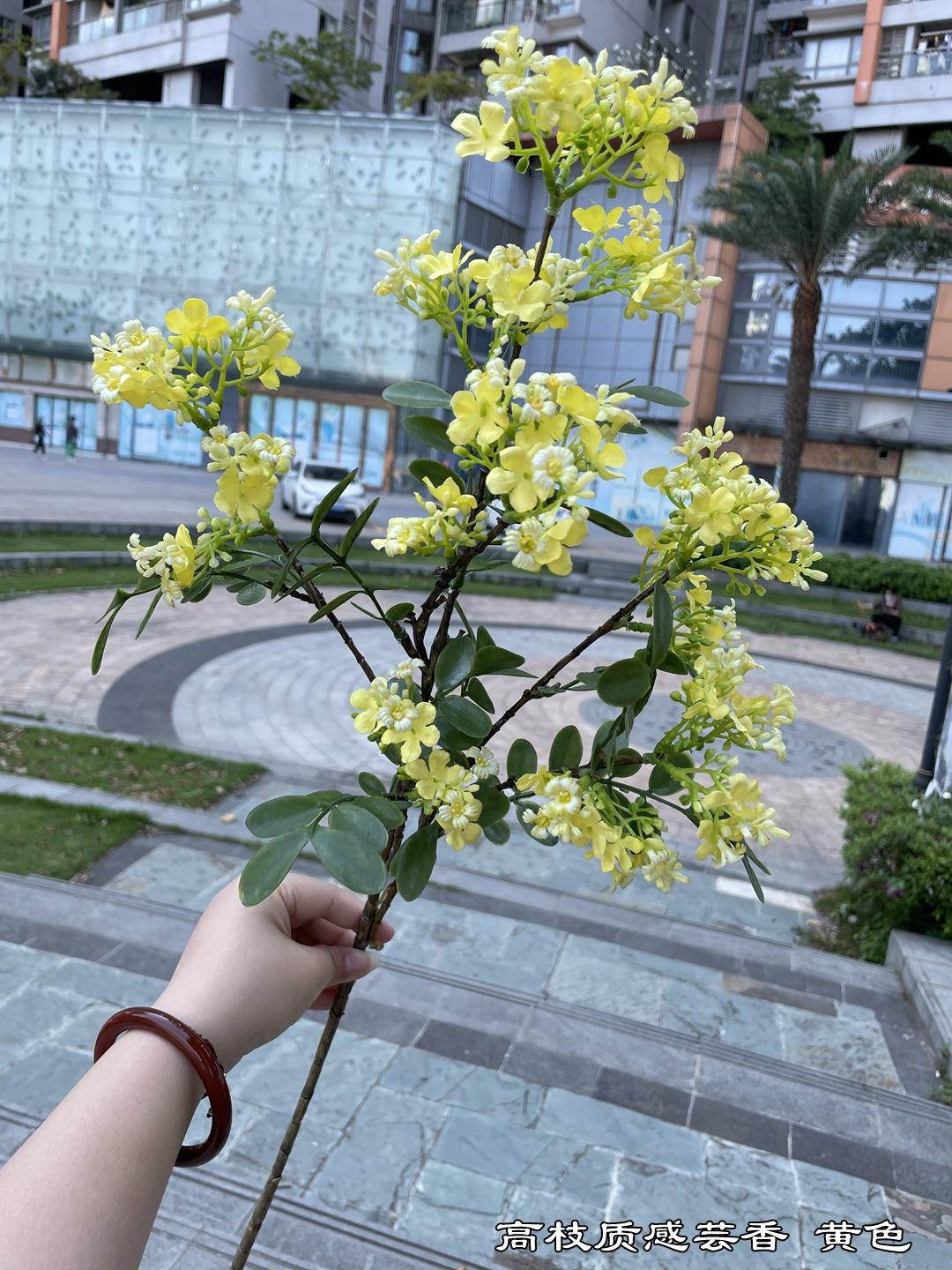 微信图片_20220404153928.jpg