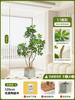Nuevo Lujo Ligero Planta Verde Pata de Pato Madera de Pie Árbol Falso Grande Interior Sala de Estar Decoración Planta Biónica