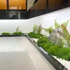 Tiras de Musgo Eterno para Cantos de Corredor, Decoração de Micro Paisagem, Hall de Entrada, Sala de Chá, Arranjo Estilo Zen, Plantas Artificiais Decorativas