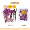 Flores secas naturales, flores eternas, flores artificiales, materiales hechos a mano para manualidades DIY infantiles para preescolar, abanicos redondos autoadhesivos y arte con pegatinas