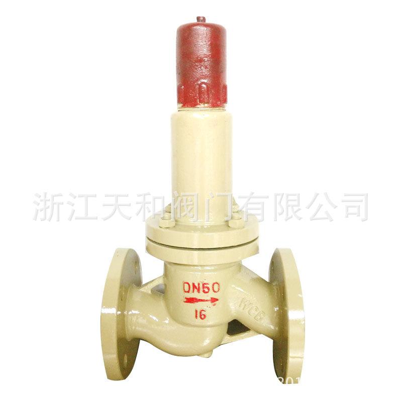 AHN42F-P18C-DN50-2