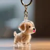 Livro Vermelho Cachorro Concha Transparente Pingente Bola de Pelo Armazenamento de Pelo de Pet Chaveiro Criativo Presente Armazenamento de Pelo de Cachorro Comemorativo