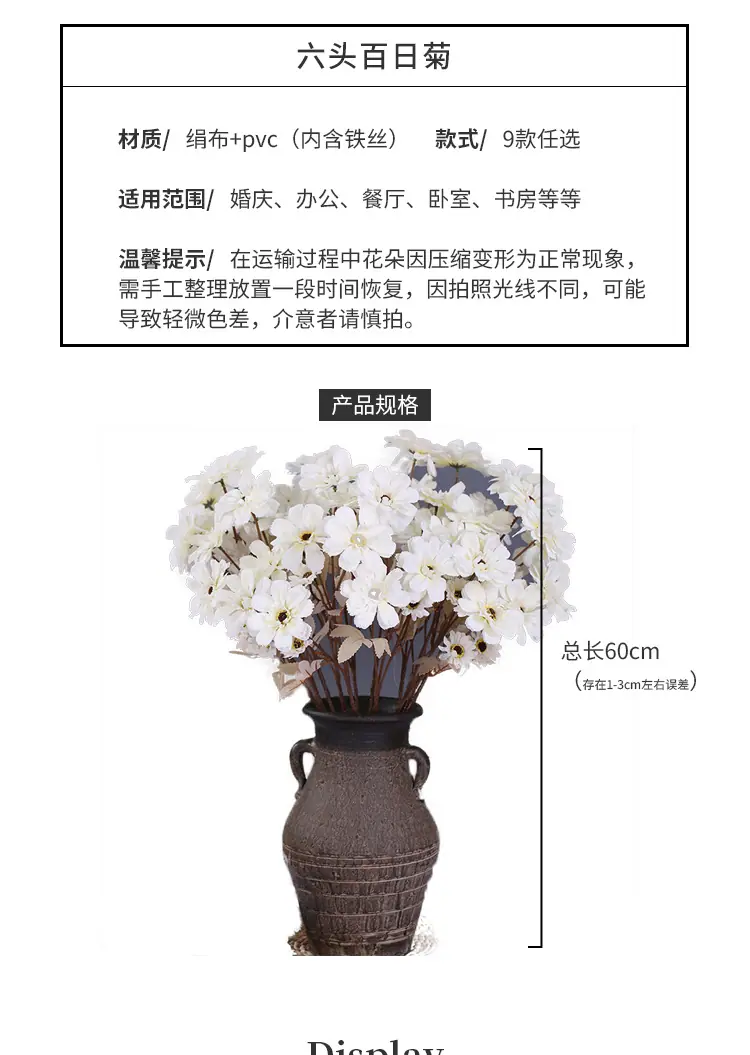 六头百日菊_04.jpg
