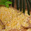 Maíz Pozolero Pegajoso del Noreste, Maíz Pozolero Grueso, Harina de Maíz Pegajoso Glutinoso Amarillo, Granos Gruesos Triturados, Soporta Dropshipping, Venta al por Mayor y al por Menor