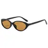 Nuevas Gafas de Sol Ovaladas Estilizadas de Nicho Cat-Eye Europeas y Americanas para Mujer 2026, Protección UV, Elegantes Gafas de Sol Y2K