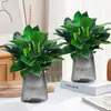 Plantas Verdes em Vasos com Diamante Dourado, Plantas Hidropônicas, Flores de Interior Fáceis de Cuidar, Plantas Verdes, Suculentas para Sala de Estar, Casa Nova, Purificação do Ar