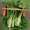 Semillas de Col Rizada Dulces y Crujientes, Col Rizada Verde Dulce, Semillas de Col de Guangdong, Adecuadas para Balcón de Casa, Patio y Cultivo en Maceta en Todas las Estaciones