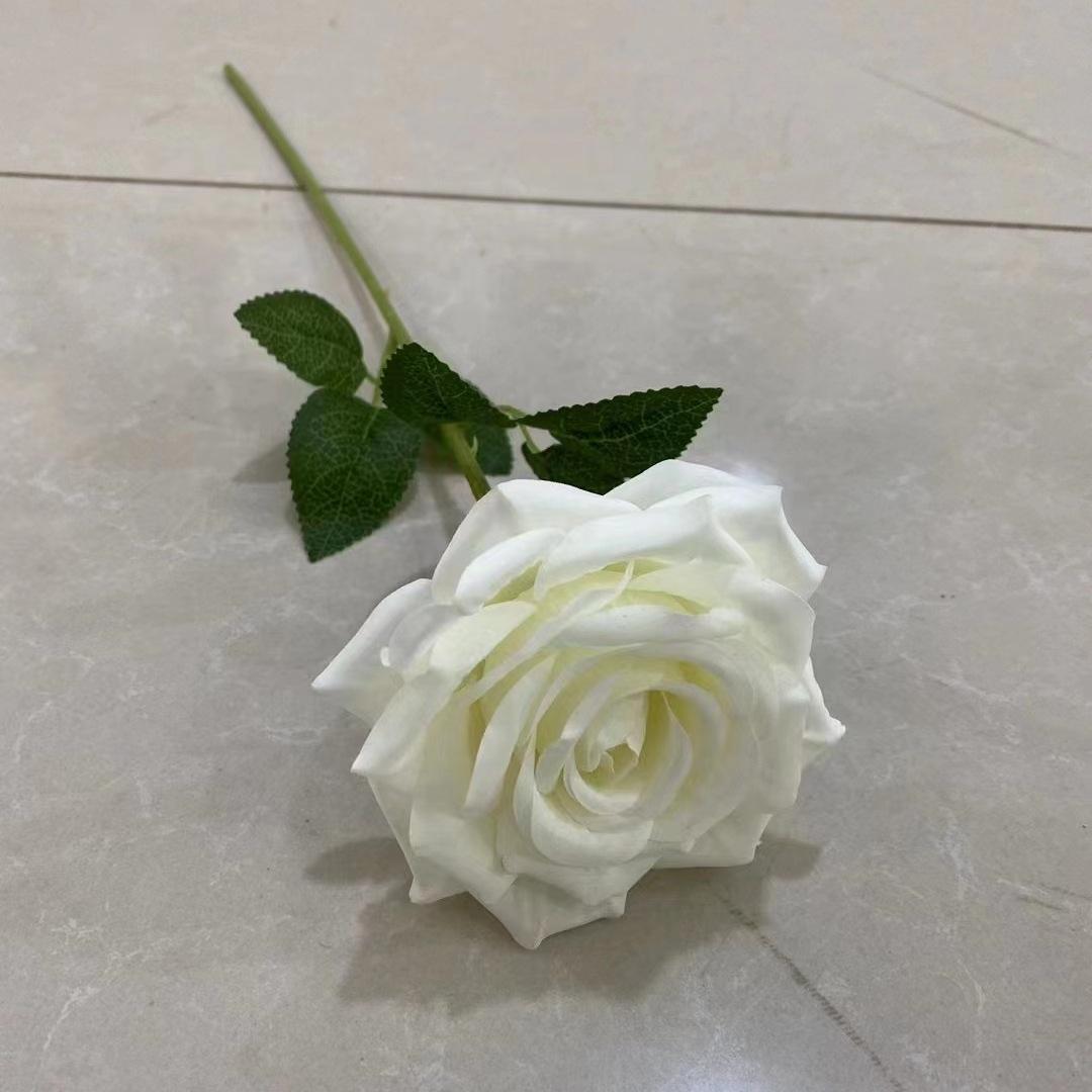 单支玫瑰白色