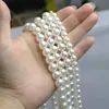 Colar de Pérols Estilo Francês Leve Luxo Febre Mesmo Estilo para Mulheres, Corrente de Clavícula Leve Luxo de Nicho, Gargantilha Simples Versátil Elegante Atacado