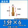 Conector de fuelle de latón con rosca interna y externa para manguera de gas natural, rosca interna y externa de 46 mm