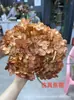 [Niebla Natural Hortensia] Flor Eterna Flor Seca Hortensia Anna Hortensia Lobular Material para Boda DIY Venta al por Mayor