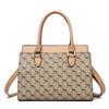 Bolso de mujer 2023 primavera y verano nuevo bolso de mamá estilo coreano elegante bolso bandolera de un solo compartimento moderno bolso de mano para suegra para mujer