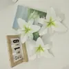 Selección Transfronteriza de Fábrica de Flores de Lirio Grandes 3D para Decoración de Restaurantes, Hoteles, Bodas y Salas de Estar