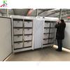 Máquina automática de brotes de frijol para mercado de agricultores, gran capacidad, máquina inteligente para plántulas de brotes de frijol, máquina de brotes de frijol húmedos de 100 kg