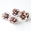 Ripper Novo Produto [Pinha Frutas Secas] Aromaterapia Decoração de Natal Feito à Mão DIY Material de Flores Secas Naturais Bolsa