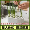 Regenerador de cebolinha e cebolinha para uso doméstico transfronteiriço, vaso hidropônico de plantio para cozinha, decoração de jardinagem para varanda de casa, cozinha para atacado