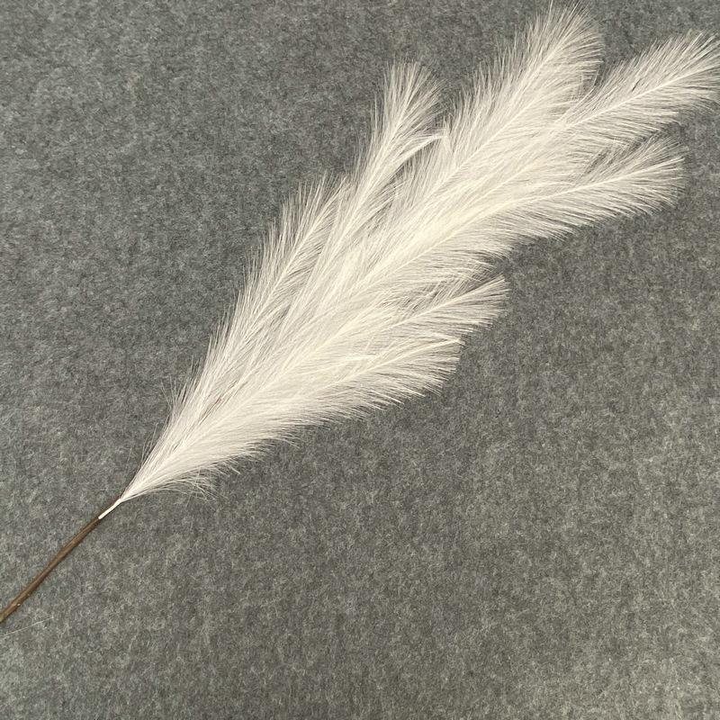 奶白