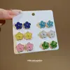 Set de Aretes Redondos Estrella de Mar Gota de Aceite Aguja Plateada Dopamina, Aretes Sencillos con un Toque de Lujo Ligero y Sensación de Alta Gama, Accesorios Versátiles para Orejas