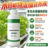 Solución nutritiva especial para plantas hidropónicas tipo universal rica tazón de bambú loto nenúfar bambú Guanyin tulipán hierba moneda de cobre universal