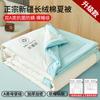Edredón de Verano de Algodón de Xinjiang Edredón Acondicionado Edredón Fresco de Verano Edredón Delgado Verano Individual Dormitorio Cama Doble Relleno de Edredón Lavable a Máquina