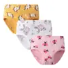 Roupa íntima infantil amigável à pele Marca própria, Durável para o seu