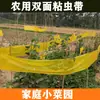 Cinta Amarilla Doble Cara Pegajosa para Insectos, Tablero Pegajoso para Insectos, Cinta para Prevención de Insectos en Árboles, Cinta para Jardín de Té, Huerto, Invernadero, Jardín