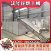 Equipamento de Secagem Totalmente Automático Ai Donghua Jiujiuhua Equipamento de Desidratação e Secagem de Material Medicinal Secador de Esteira de Tussilago
