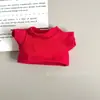 Roupa de boneca T-shirt de cor sólida para bonecos de pelúcia de 10cm, roupa de manga curta 14cm Atacado de roupas para pingentes e bonecos Palm Dog