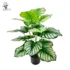 Plantas Artificiais Amazon, Flores Artificiais, Plantas Verdes Artificiais, Folhas de Pavão, Folhas de Maçã, Plantas em Vasos de Chão para Exibição em Casa e Interior