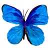 Cabeza de Flor de Mariposa de Goma Suave de Plástico, Decoración del Hogar con Flores Artificiales, Arreglo de Boda, Adornos al por Mayor, Decoración de Mesa para Exteriores